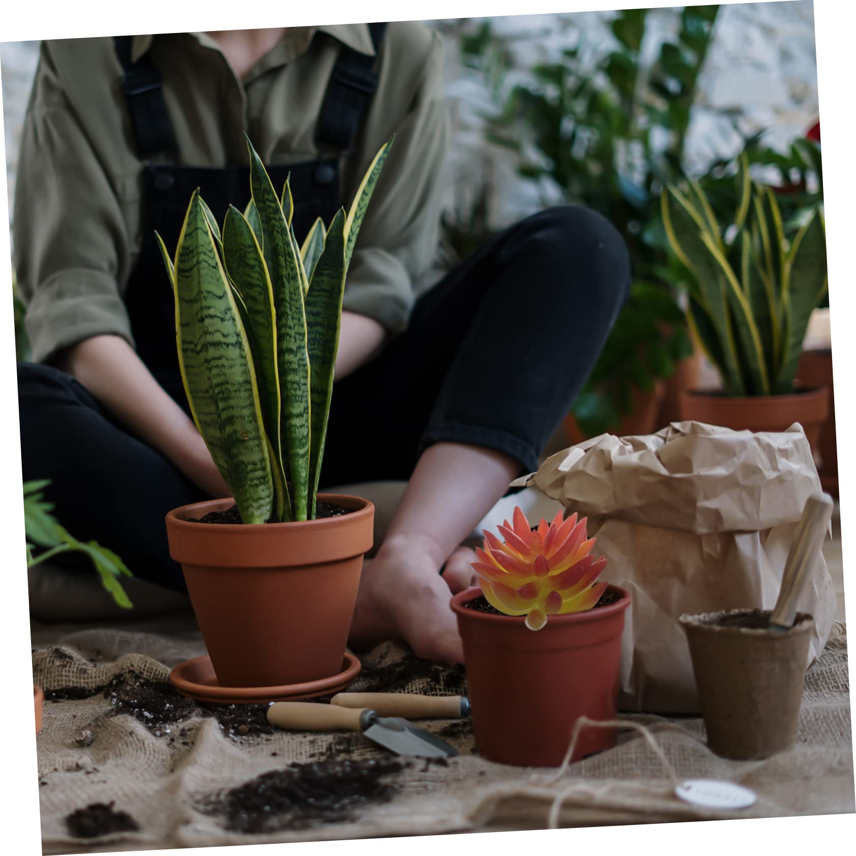 MAGICLULU 20pièces Plantes Succulentes Artificielles Lot de Fausses Plantes Grasses pour Décoration De Jardin Et Balcon Style Mixte Végétal