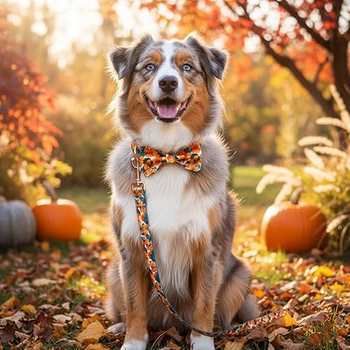 Miniatura 135 de PETDURO Collar de perro personalizado con nombre y teléfono grabado en hebilla de metal – Personalizado para perros medianos y grandes – Impresiones