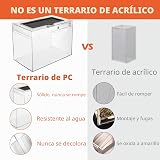 Ver la foto 6