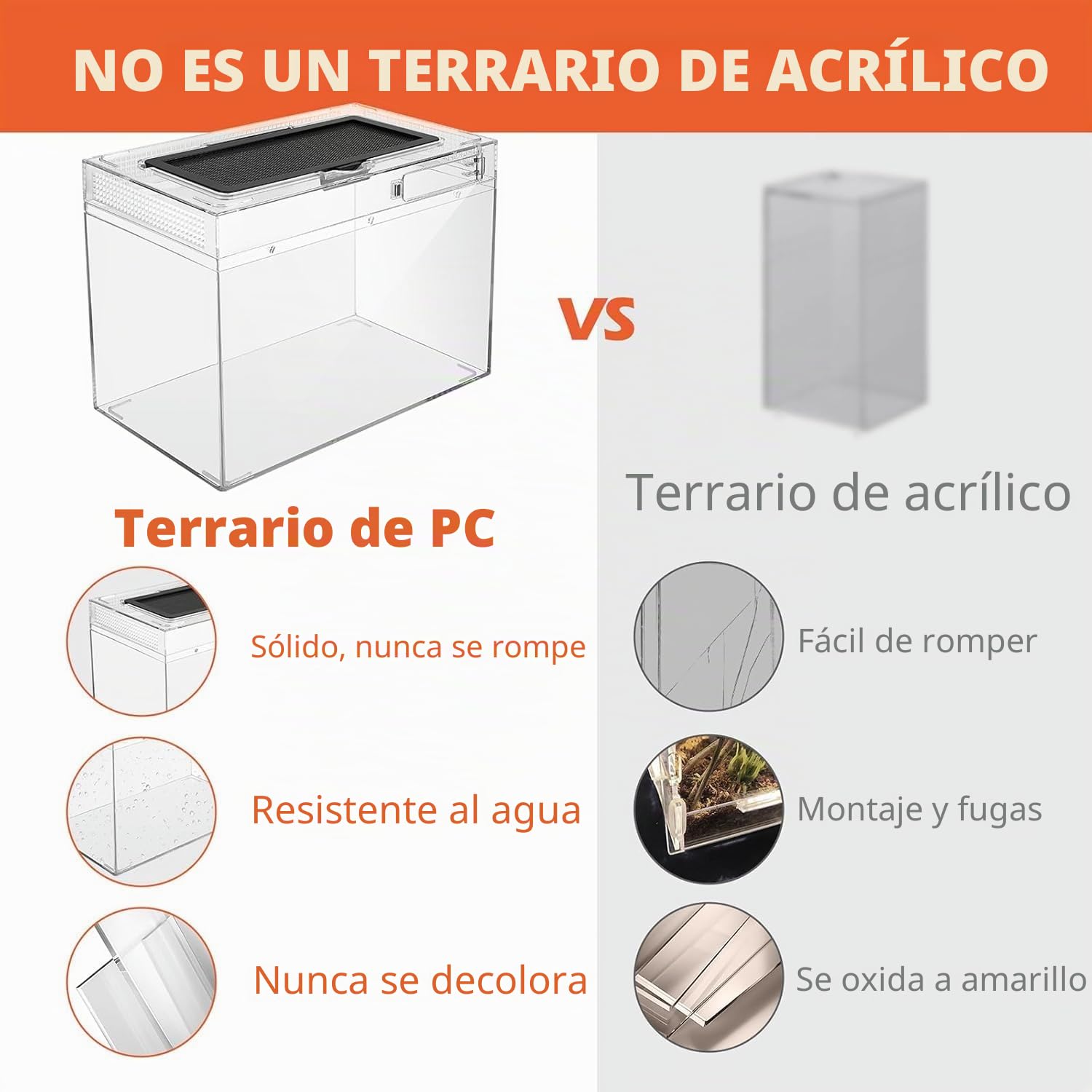 Caja de Alimentación de Insectos, Caja de alimentación para Reptiles, Estuche de Cría de Reptiles para lagartos, arañas, Ranas de Cuernos y escarabajos,Terrario para Reptil/Anfibios (12 * 7 * 9in)