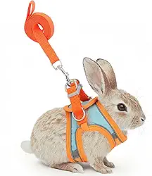 Filhome Conjunto de arnês e coleira de coelho ajustável, fivela dupla com tiras refletivas, colete respirável para gatinho, furão, porco, filhote, animais pequenos, acessórios de caminhada