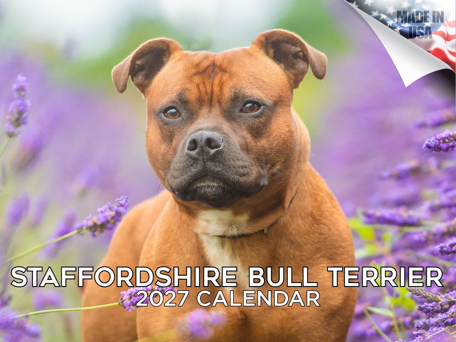 2024 2025 Pitbull Calendar - Staffordshire Bull Terrier Dog Breed Monthly Wall Calendar - 12 x 18 Open - Thick No-Bleed Paper - Giftable - Academic Teacher's Planner Calendar Organizing & Planning — image 1