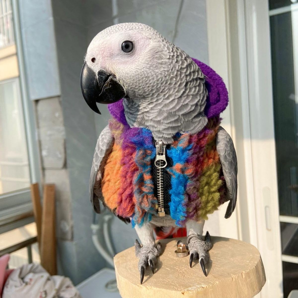 Bird Cloth Christmas Party Birthday Costume for Parrot Halloween Pet Birds Clothes Birds Cosplay Outfit Coat (Colorful,XL)