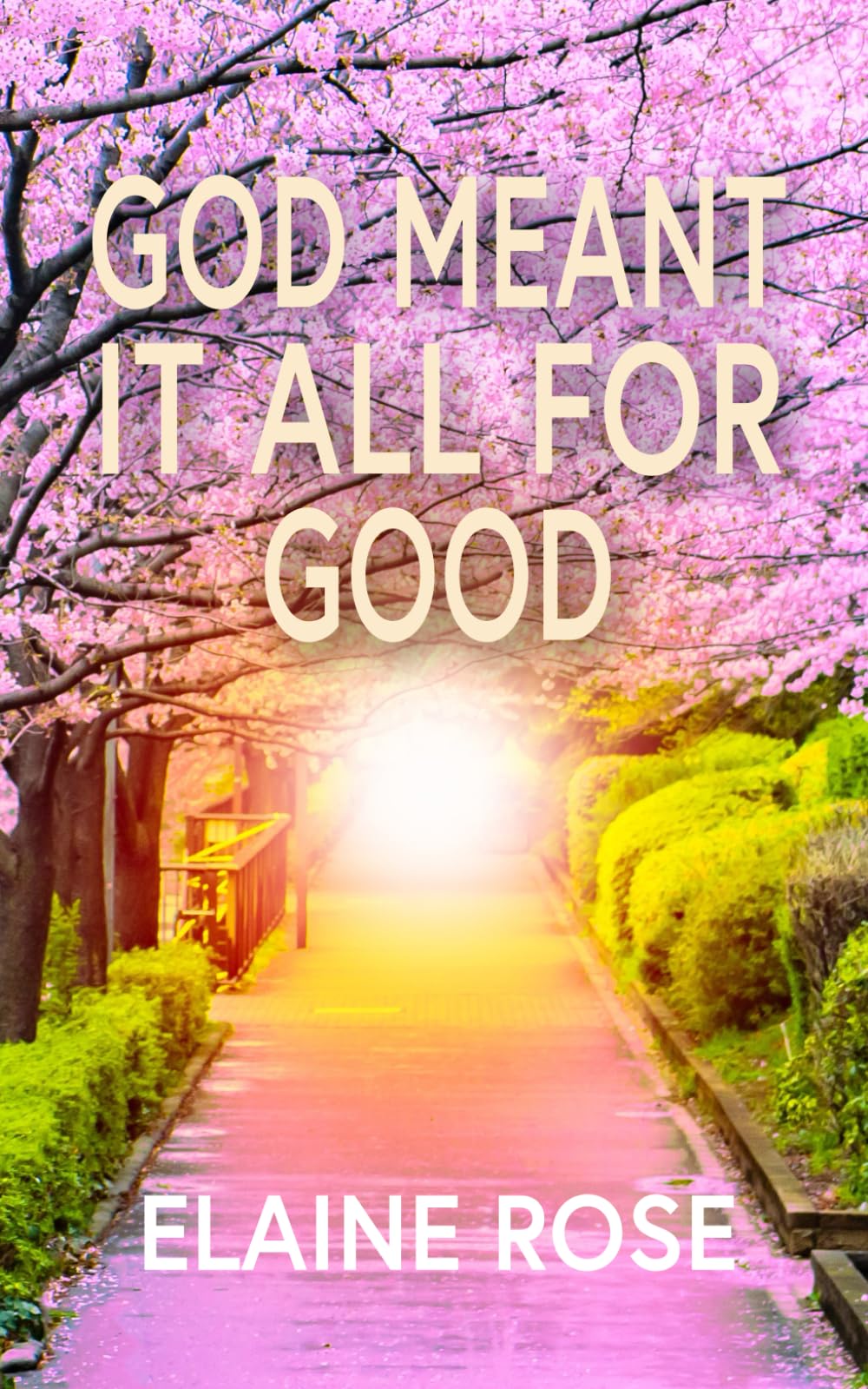 God Meant It All For Good: A story of abuse, survival and transformation