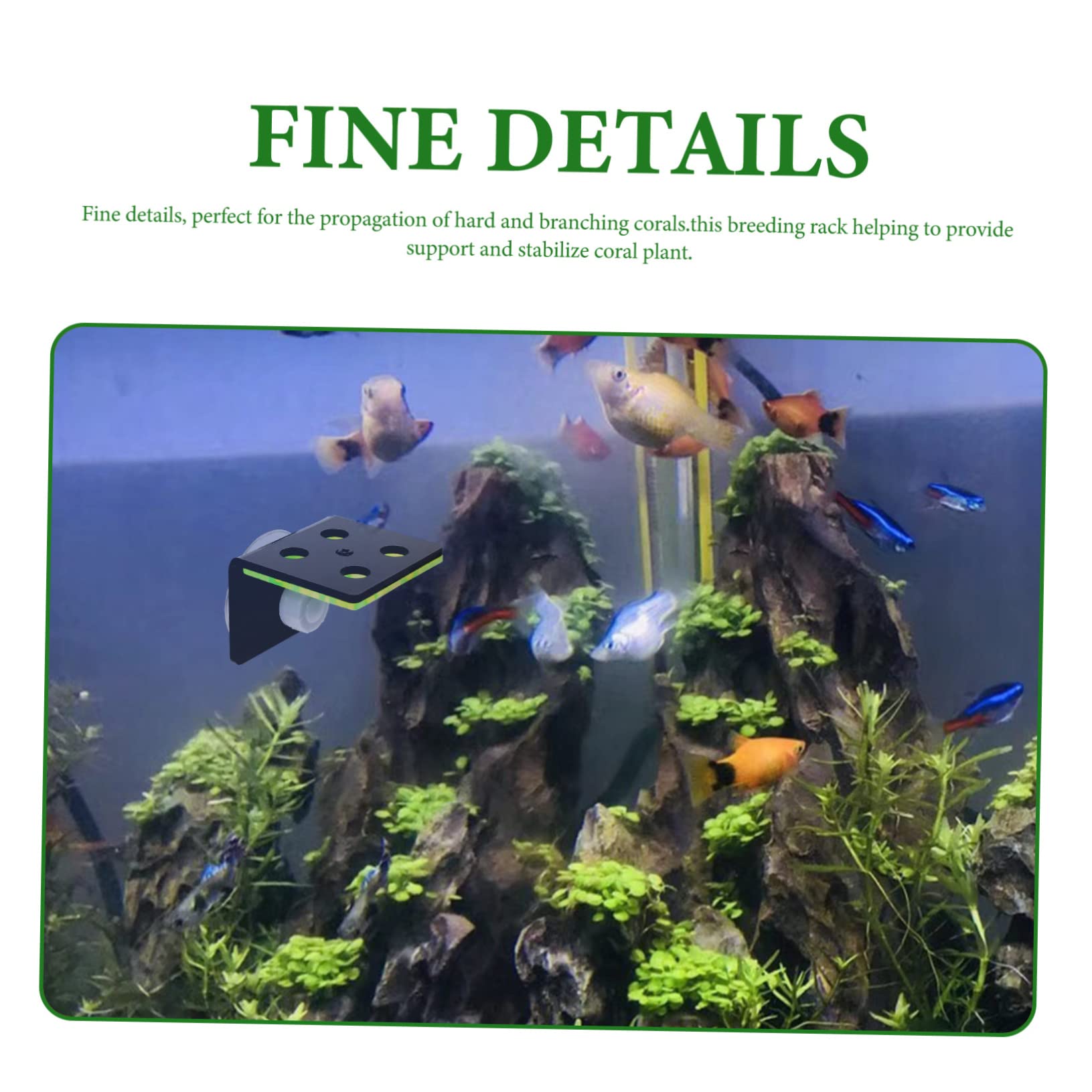 Kisangel 3stücke Double Layer Holder Aus Hochwertigem Stabiler Unterstützung Für Korallen Und Aquarienpflanzen Für Aquarien-Dekoration Und Korallen-zucht