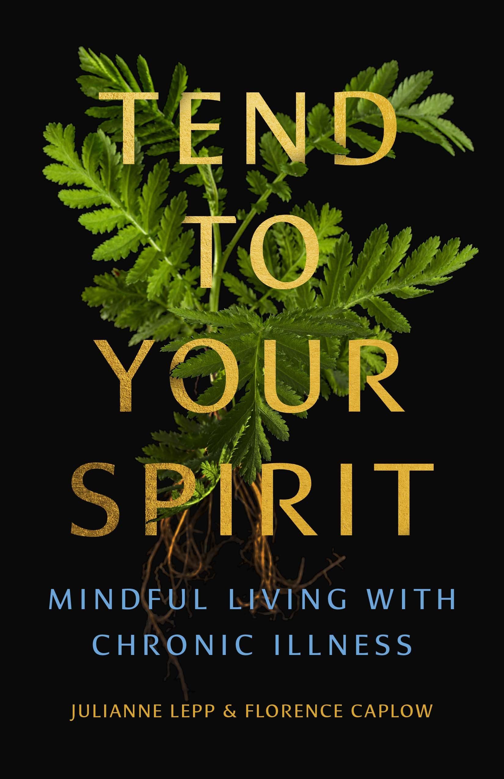 Tend to Your Spirit by Julianne Lepp PAPERBACK 9781558969698
