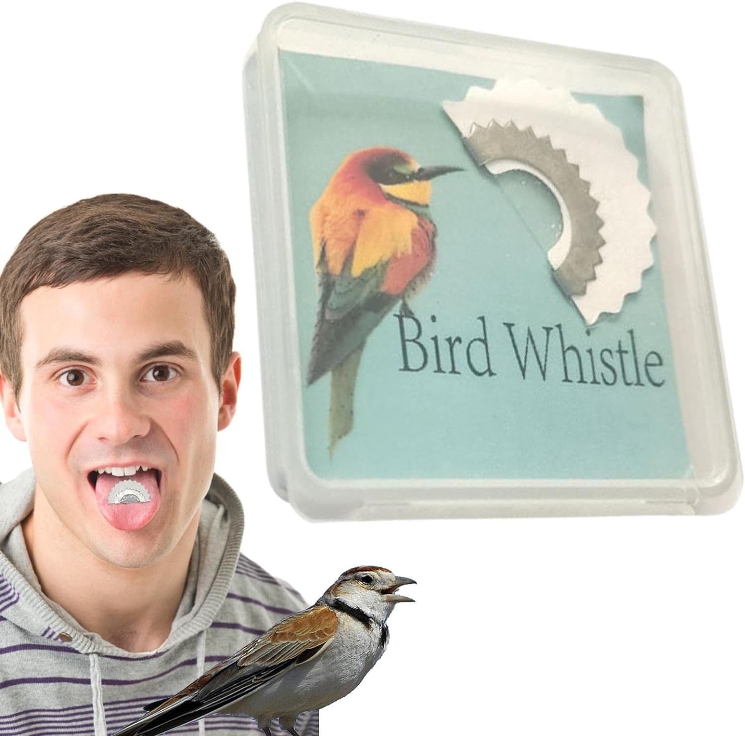 Safe Mouth Whistle, Creative Fun Bird Whistle, Bird Caller Tongue Whistle, Wacky Whistles Animal Sounds, Original Traditions Bird Pipes, Tweeting Noisemaker For Adult, Training and Behaviour Aids