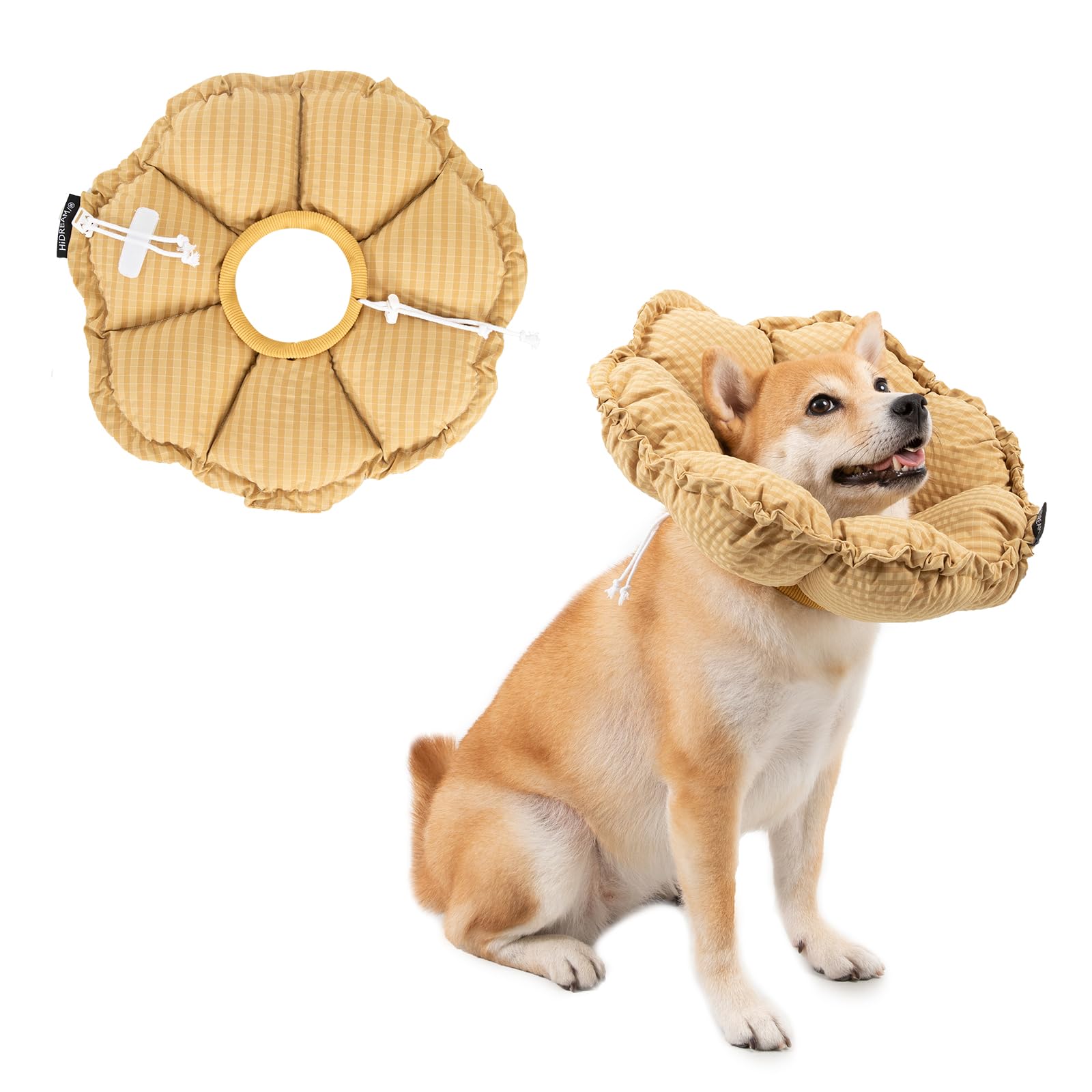 HIDREAM Daisy Cone