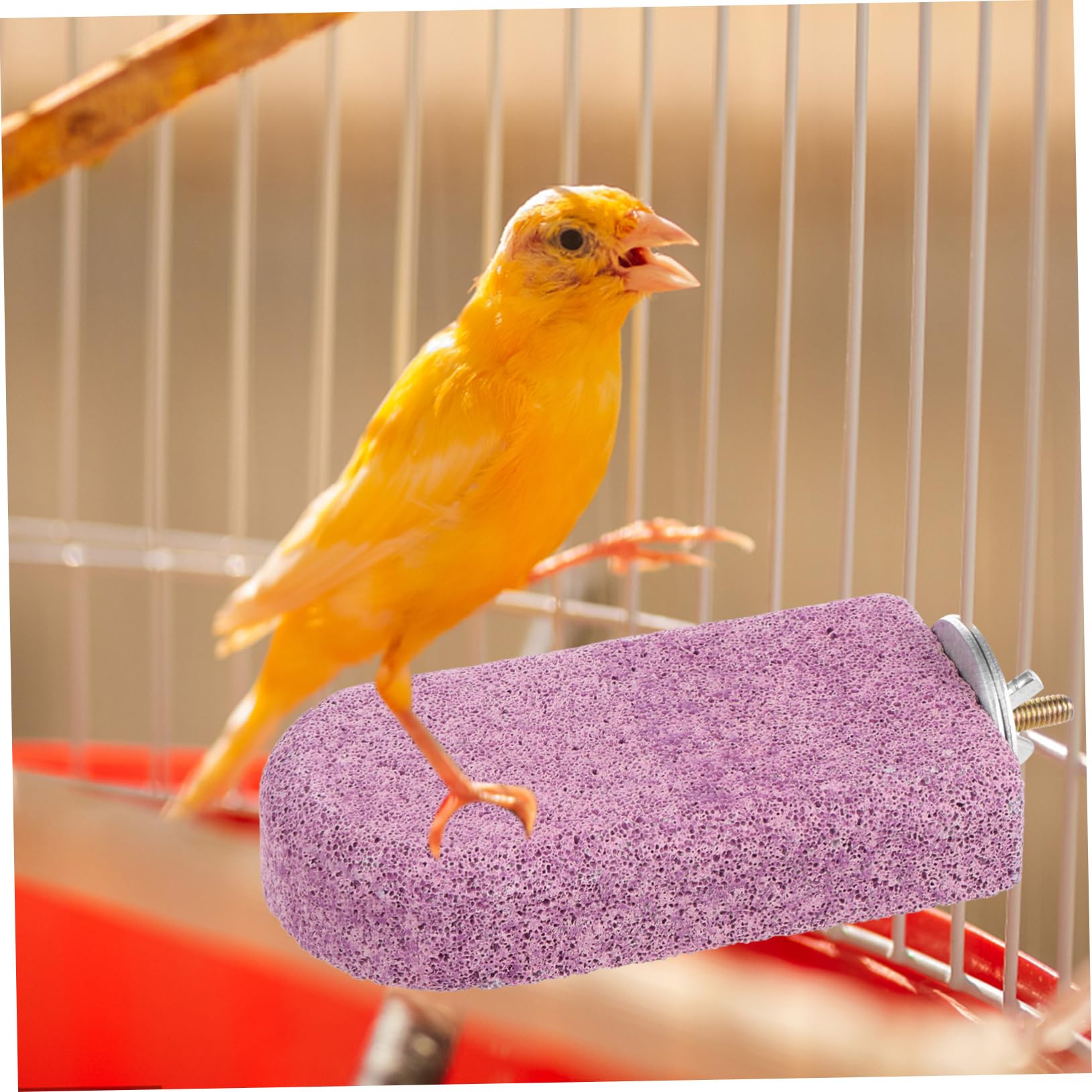 HANABASS 4piezas Perchero De Molienda para Pájaros Soporte De Descanso para Cockatiels y Aves Juguete Masticable De Calcio para Jaulas y Entrenamiento De Mascotas