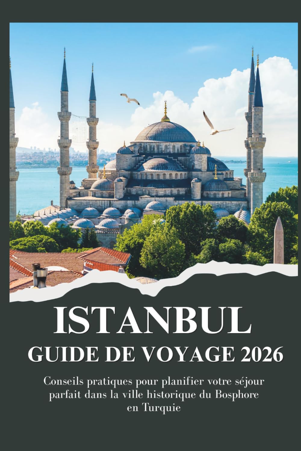 ISTANBUL GUIDE DE VOYAGE 2026 - Conseils pratiques pour planifier votre séjour parfait dans la ville historique du Bosphore en Turquie