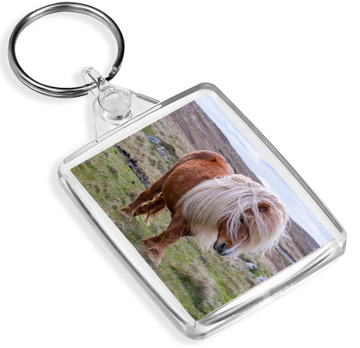 Windswept Shetland Pony Keyring Cute Horse Ponies Animals Pets Mum #15993
