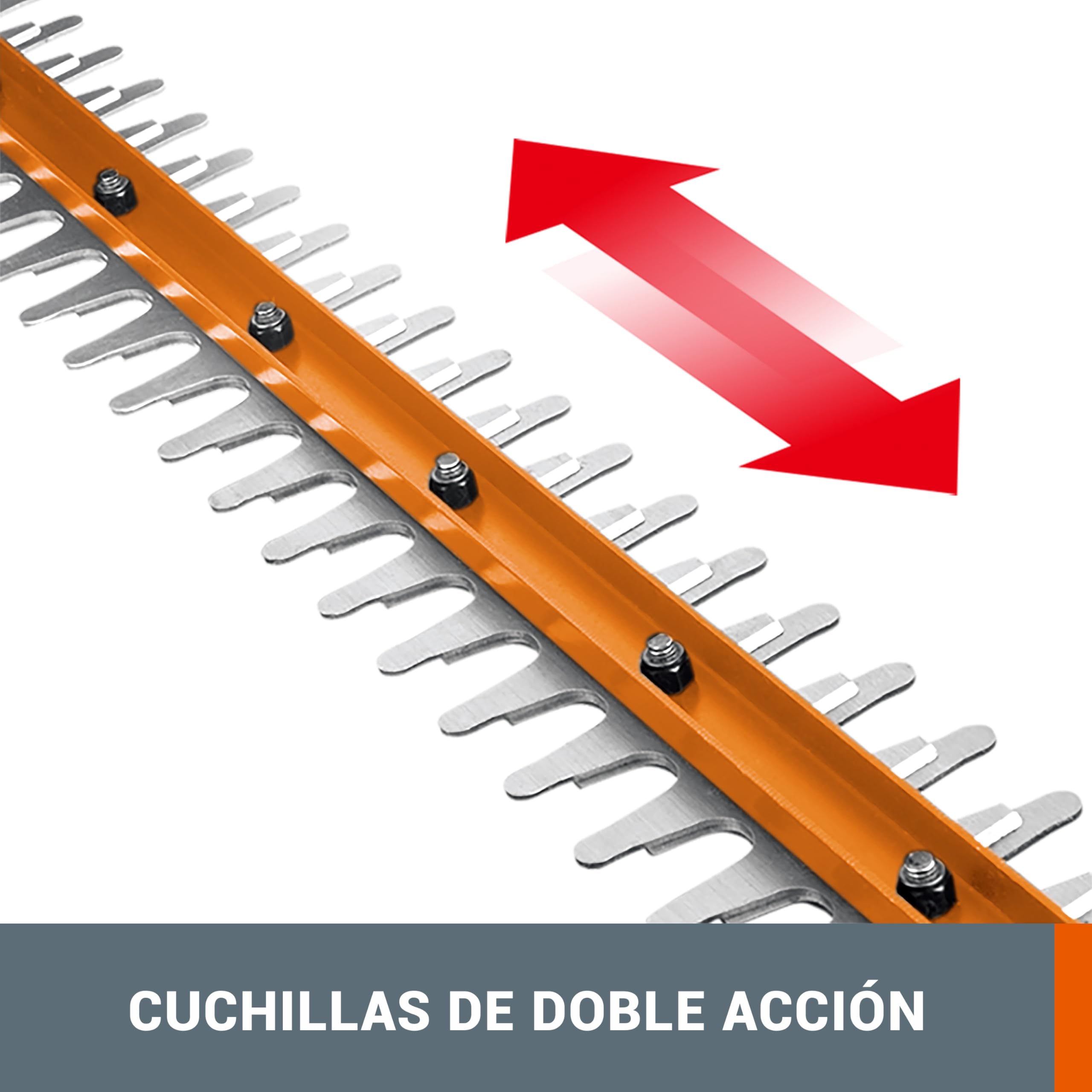 WORX Cortasetos a batería | WG264E | 20V Máx. | Batería 20V – 2Ah y Cargador Incluido |PowerShare | Cuchilla Doble Longitud Cuchilla 56 cm | Distancia Entre Dientes 20 mm |