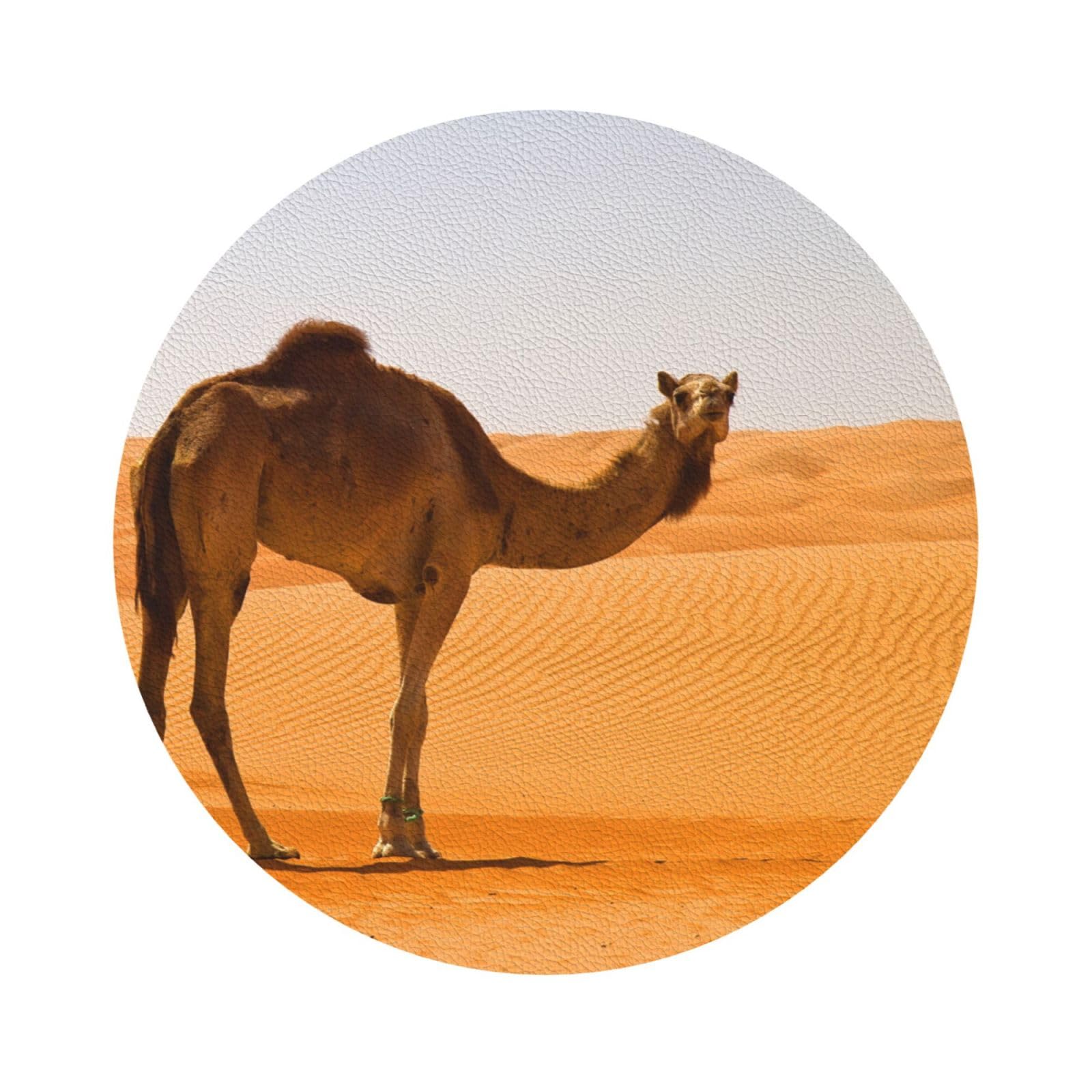 Desert Sand Camel PU Leather Coasters Set of 6 Round Drink Coasters