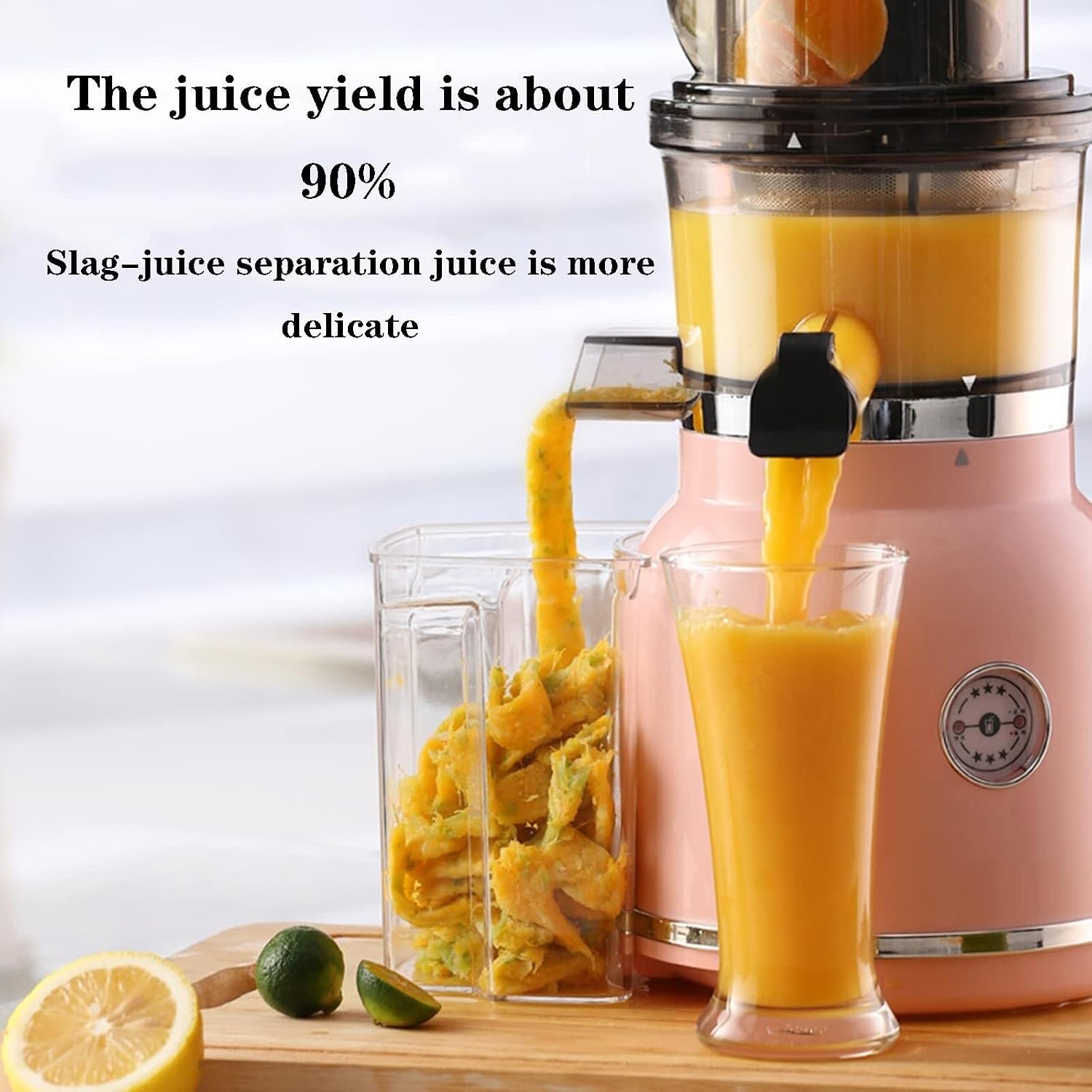 Slow Masticating Juicer, Cold Press Juicer Machine for Vegetables & Fruits, Easy to Clean, High Juice Yield, Low Noise, 180W, Vertical Design