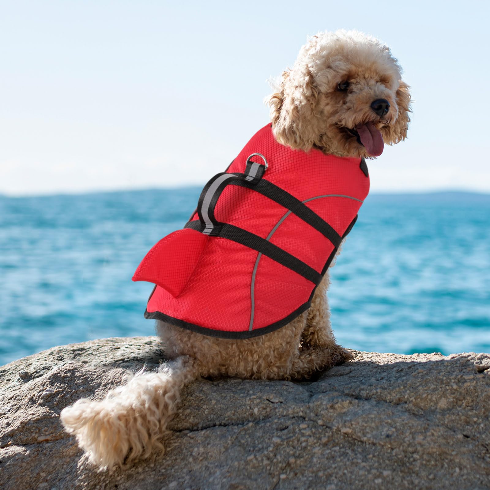 Queenmore Extra Small Dog Life Jacket Life Jacket Queenmore Dog