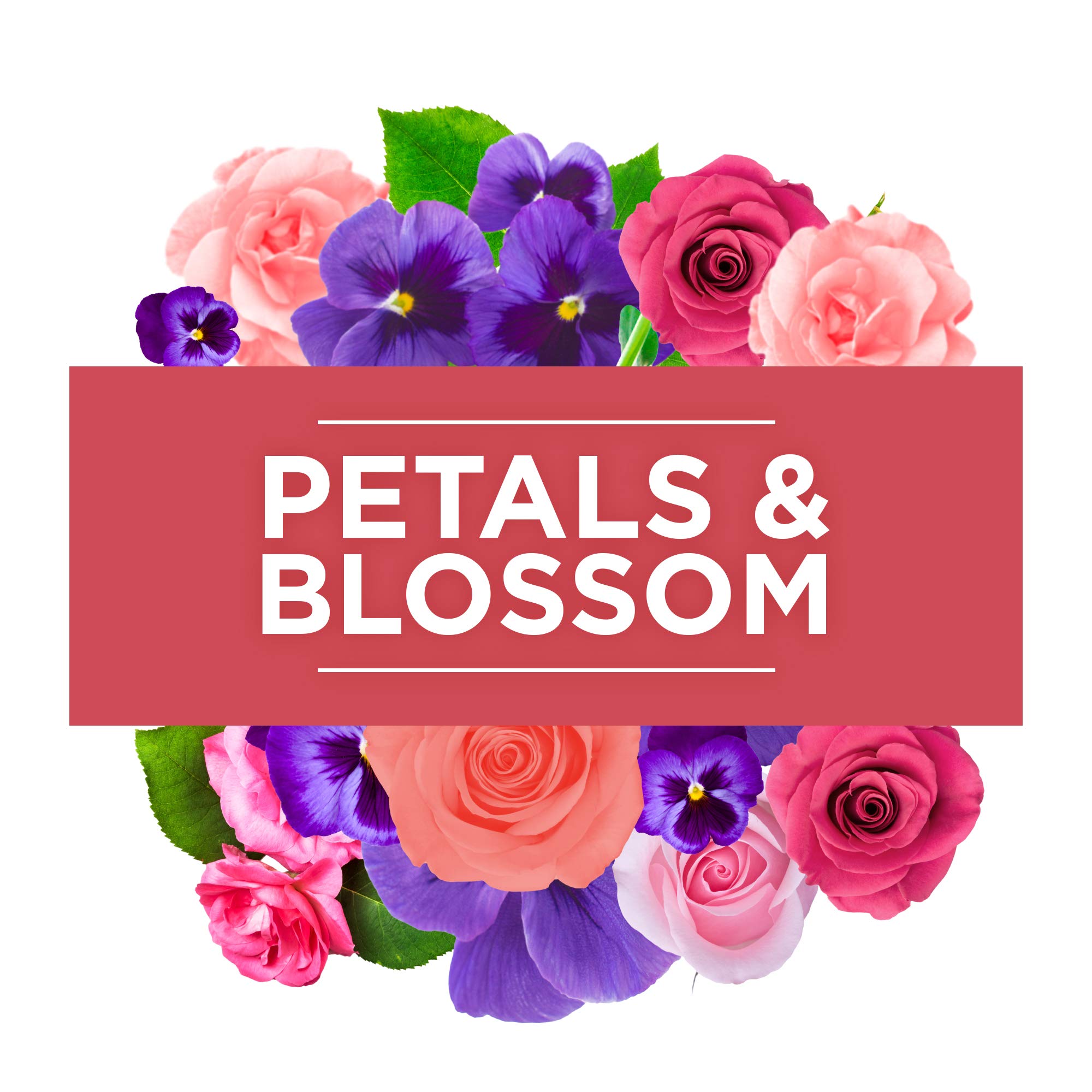 Glade (Brise) Duft-Kerze im Glas, Petals & Blossom, bis zu 30 Stunden Brenndauer, 6er Pack (6 x 129 g)
