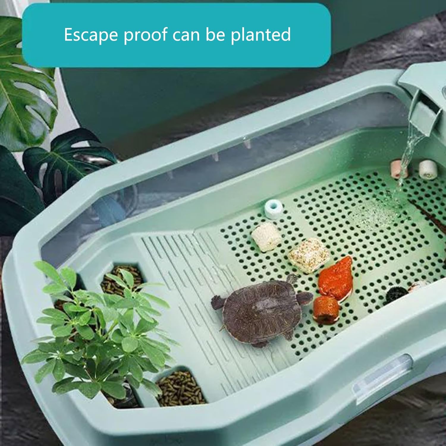 Turtle Terrariums Basin for Terrapins Small Turtle Aquarium Habitats Box with Ramps Basking Platform