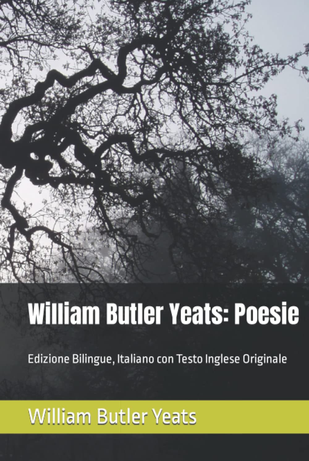 William Butler Yeats: Poesie: Edizione Bilingue, Italiano con Testo Inglese Originale
