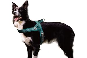 No Pull, All Comfort: Docno Dog Harness