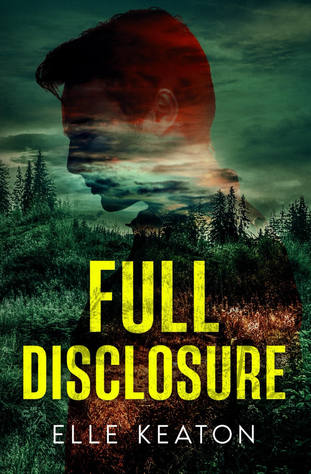 Full Disclosure (Veiled Intentions)