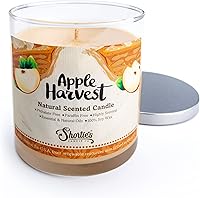 Vista 9 de Vela de soja natural perfumada con corteza de canela, aceites aromáticos esenciales, 100% soja, libre de ftalatos y parabenos, combustión limpia, 9