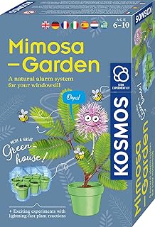 Kosmos 617509 Mimosa Garden Grow and Explore Plants Complete Set with Mini Greenhouse Experiment Set for Children from 6-10 Years