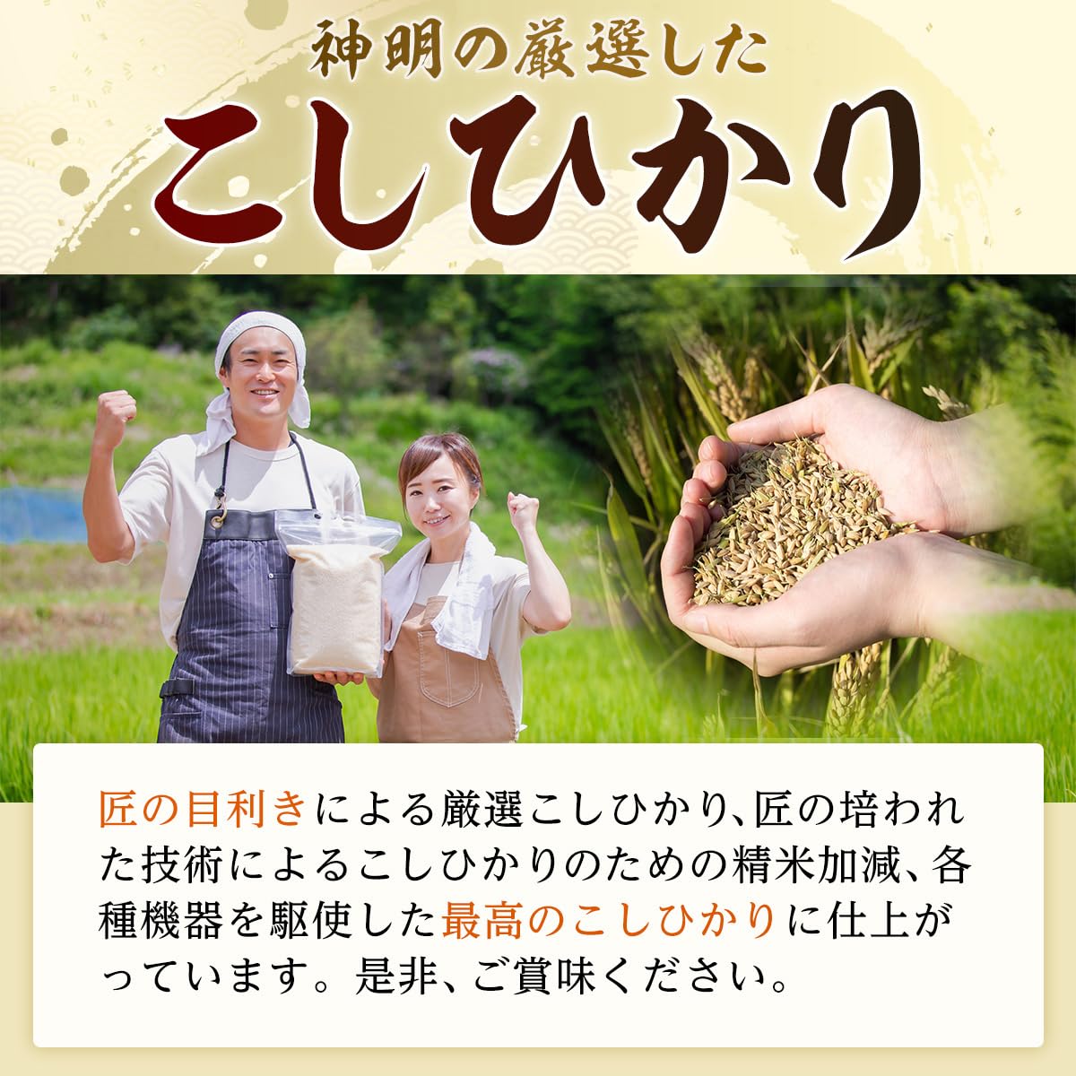 Amazon.co.jp: 神明 【精米】 匠の米づくり コシヒカリ 30kg(5kg×6袋 