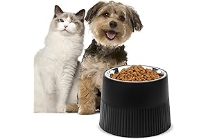 Elevated Dog Bowl, the Optimal Feeder for Small Breeds