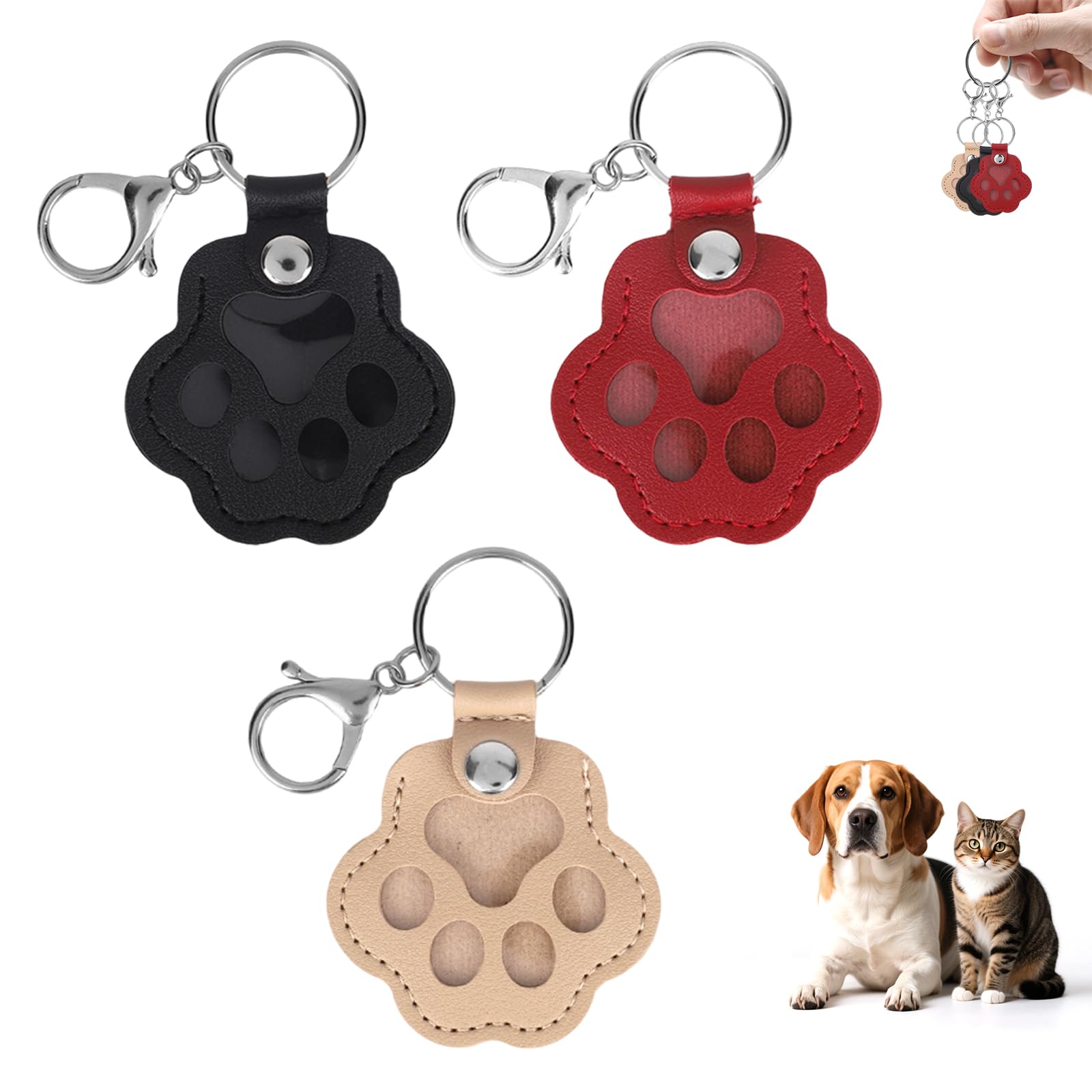 Lot De 2 Porte-clés Commémoratifs Pour Animal De Compagnie