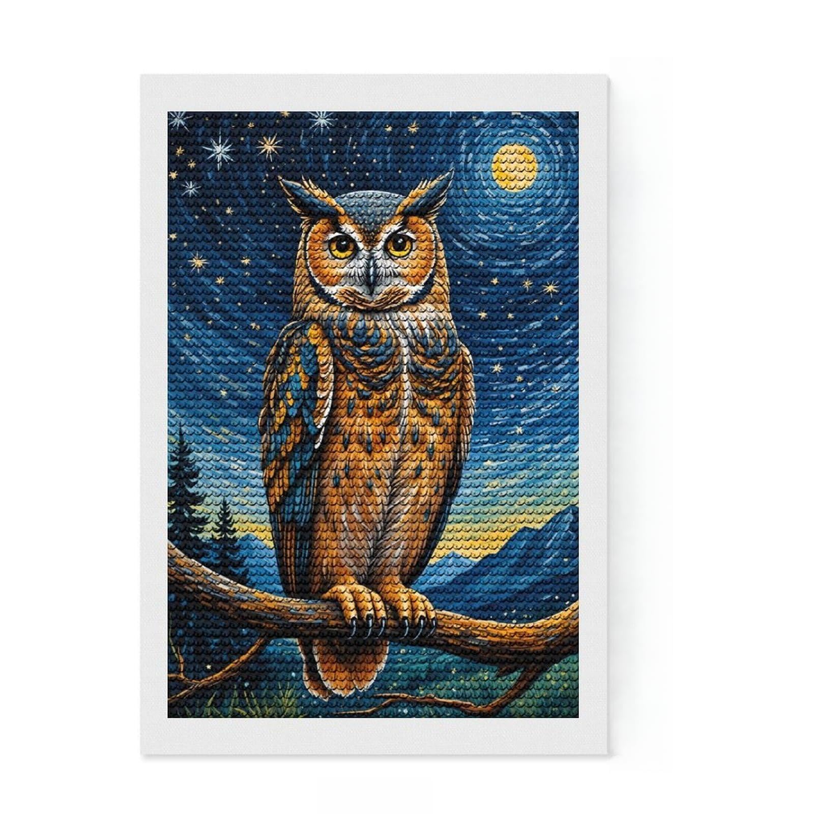 Junmoney Owl Starry Night Diamond Painting Kit 8"x12", Relaxing DIY Hobby, Neat Printed Canvas, Home Wall Decor, Thoughtful Handmade Gift