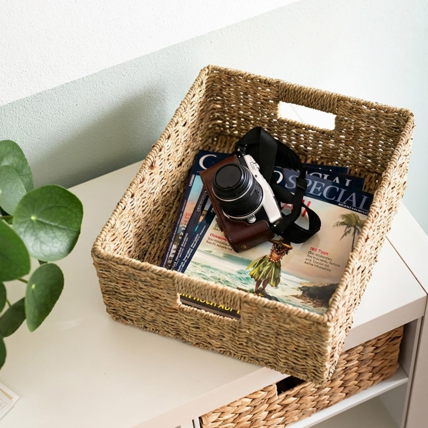 HMF Cesta de almacenamiento compatible con KALLAX medio compartimento, cesta trenzada de algas marinas con asas | set de 2 | 30 x 34 x 15 cm | Natural