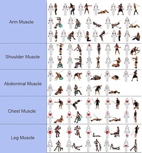 Miniatura 4 de Juego de bandas de resistencia para ejercicio con asas, bandas de ejercicio para hombres y mujeres, correas de tobillo para fitness, entrenamiento,