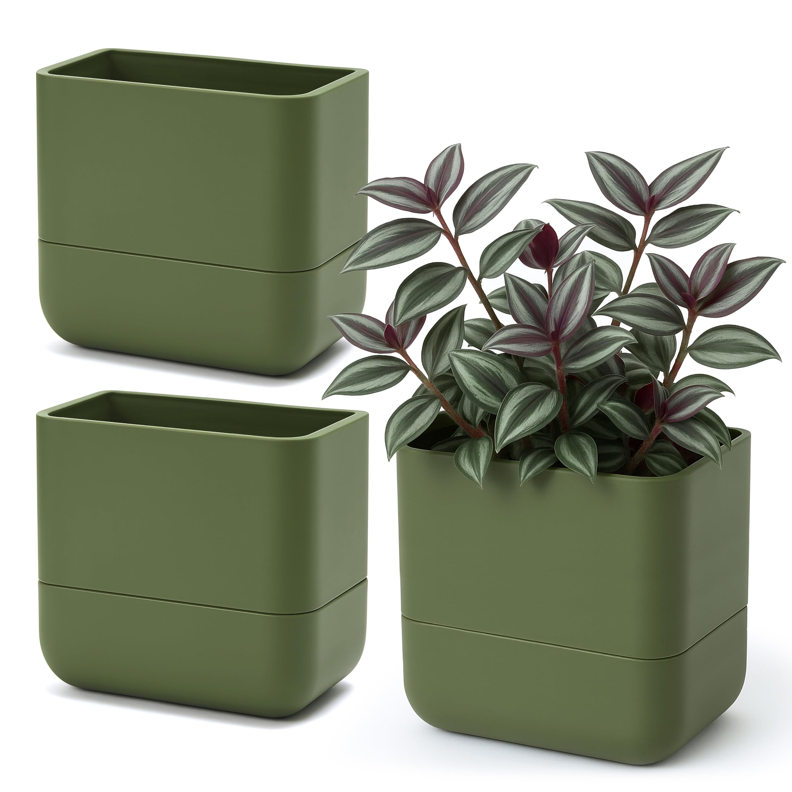Phoenix Vine 6.5 Inch Wall Mounted Self-Watering Planter Pot