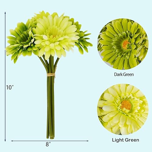 Miniatura 4 de Margaritas africanas artificiales, margaritas africanas de seda, margaritas artificiales, paquete de 10 unidades (verde)