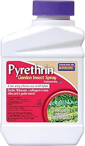 Amazon.com : Bonide Pyrethrin Garden Insect Spray Concentrate, 1-Pint ...