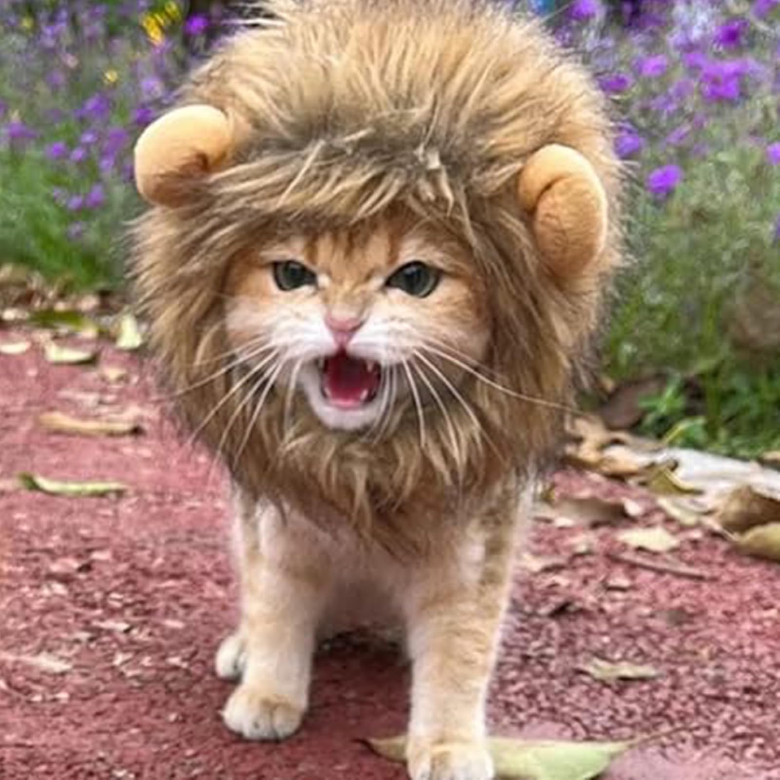 Amazon | 猫被り物 ライオン 犬 猫用ウィッグ ペット用帽子