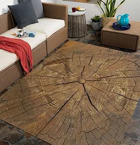 Amazon.com: Farmhouse Aesthetic Wooden Area Rug 2x3 Gray 3D Gradient ...