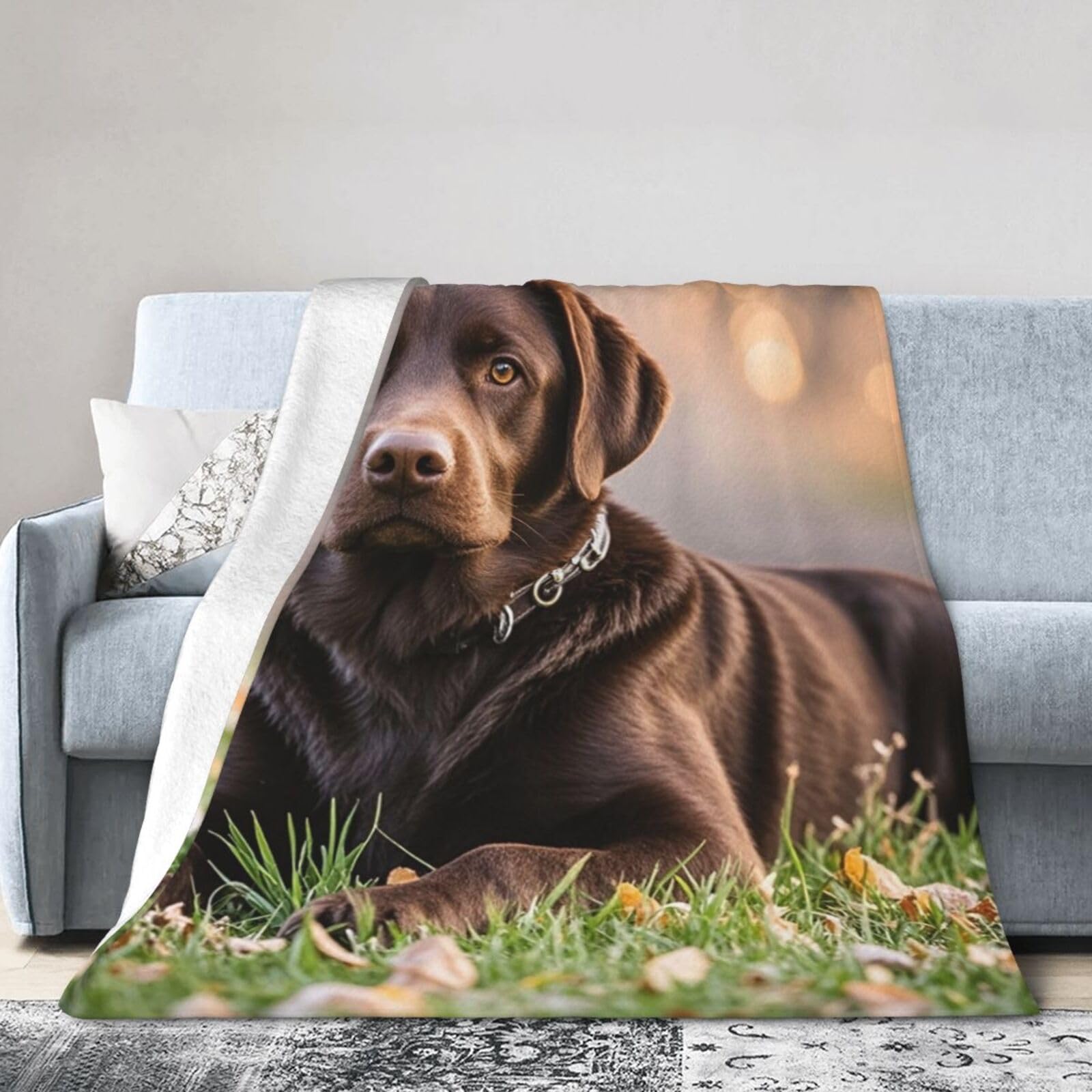 Cowmghldfl Black Throw Blanket Soft Cozy Bed Blanket 60"X50" Reversible Plush Blanket Brown Labrador Retriever Flannel Blankets Warm Cozy Throws For Sofa Couch Bed