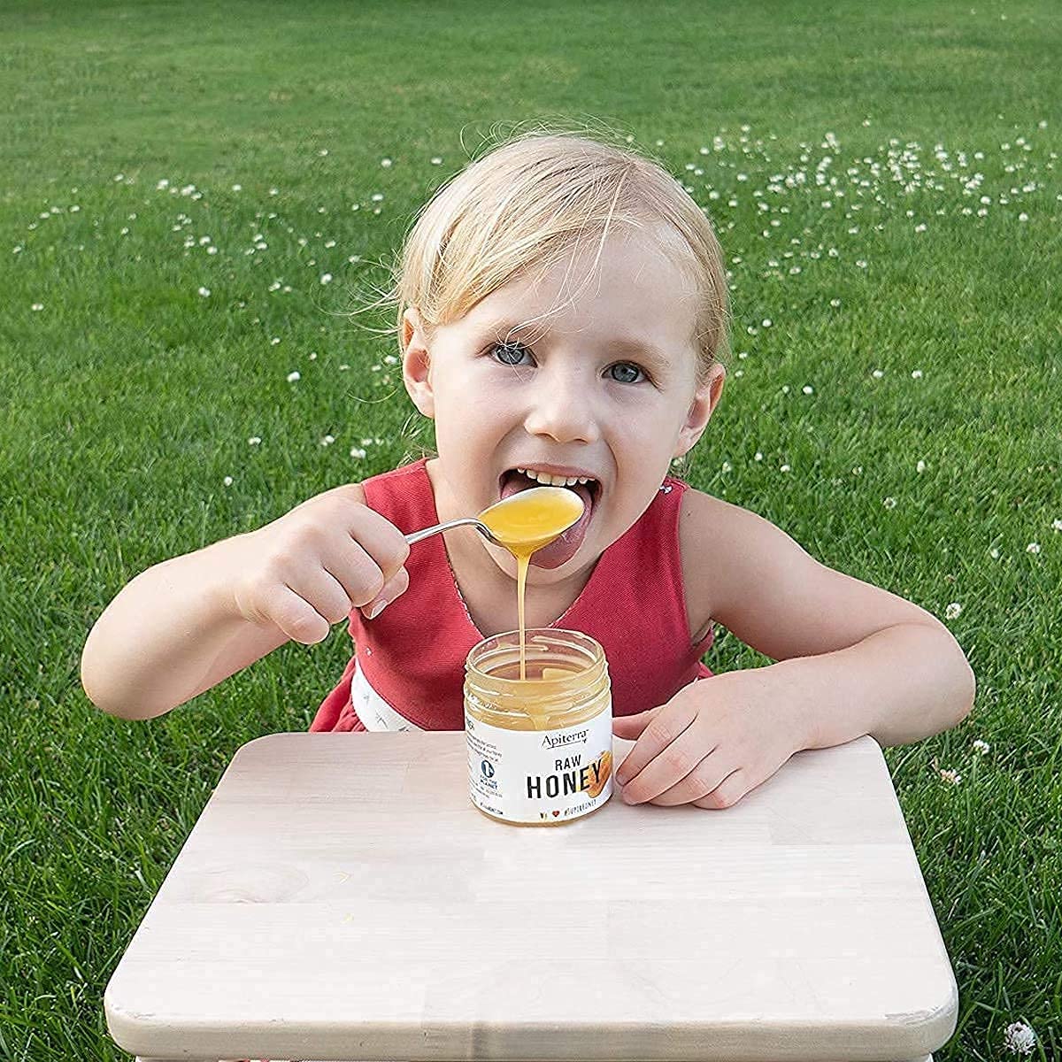 Apiterra - Raw Honey Bulk 8 lbs Bucket Unfiltered Unpasteurized 100% Pure and Natural Wildflower Raw Honey