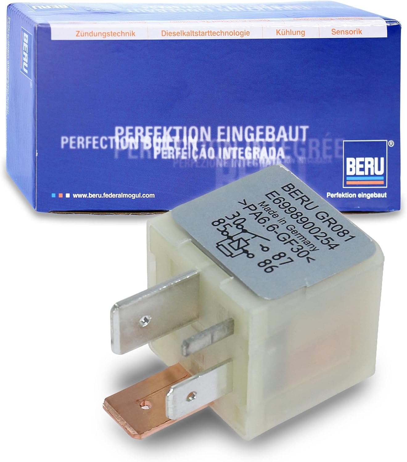 BERU GR081 Ignition and Incandescent Systems