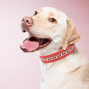 Didog Genuine Leather Dog Collars,Braided Dog Collar Leather Stylish & Durable Metal Chain Pet Collar for Medium Large Dogs,Red,M