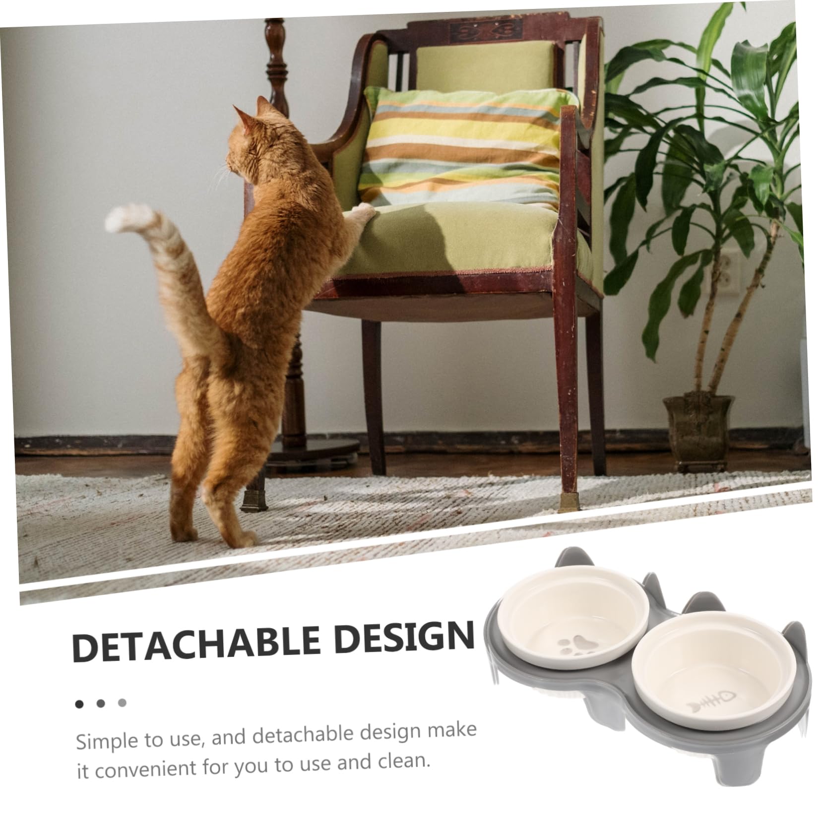 Erhöhter Keramik Katzennapf mit Schrägdesign 2 Stück Trink und Futtergeeignet Abnehmbar für Hauskatzen