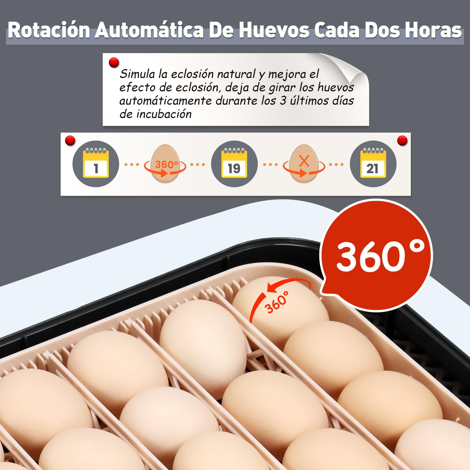 Sailnovo Incubadora de Huevos Automaticas, Incubadora de 56 Huevos con Volteo Automático de Huevos y Humidificación automática, Incubadora para Huevos de Gallina, Codorniz, Pato, Gris
