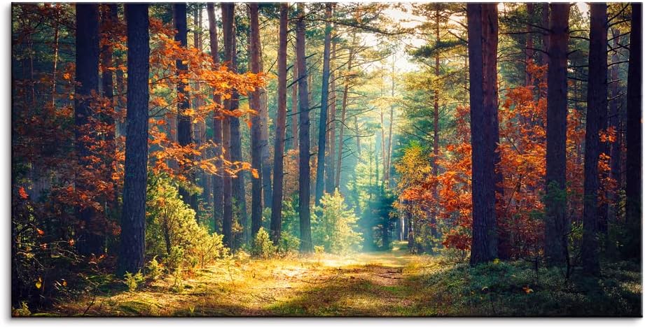 Autumn Forest Large Stretched Canvas Wall Art For Living Room Bedroom Home Decoration,Mordern Morning Sunlight Wood Print Picture Painting Decor Giclee Artwork,Gallery Wrapped Gift,Inner Frame(30x60)