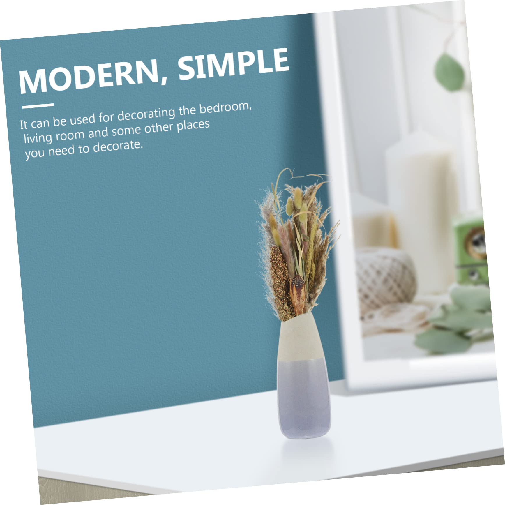 Abaodam 2pezzi Bouquet Di Pampa Essiccati Naturali Per Decorazioni Domestiche Composizioni Floreali Dried Broomcorn Per Matrimoni e Eventi Adatti Stili Boho e Rustici