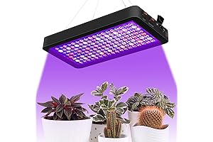 2000 Watt LED Grow Lights for Bountiful Harvests