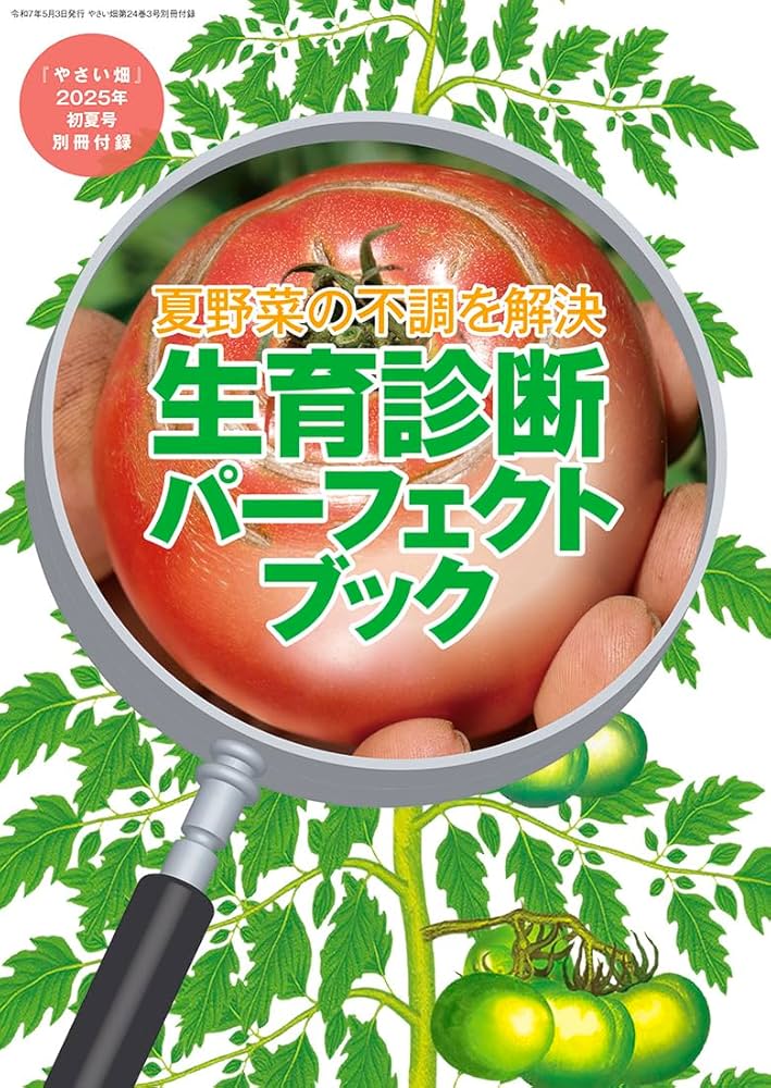 やさい畑　本　１１冊セット 付録付き】やさい畑 初夏号 2025年 6月号 | やさい畑編集部 |本