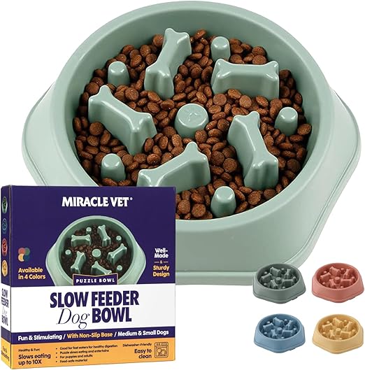 Slow Feeder Dog Bowls for Fast Eaters - for Small, Medium Sized Dogs - Dog Puzzle Maze Helps Slow Down Eating - Adult, Puppy Food Bowl for Bloat Stop, Non-Slip Feeder Bowl (Green)