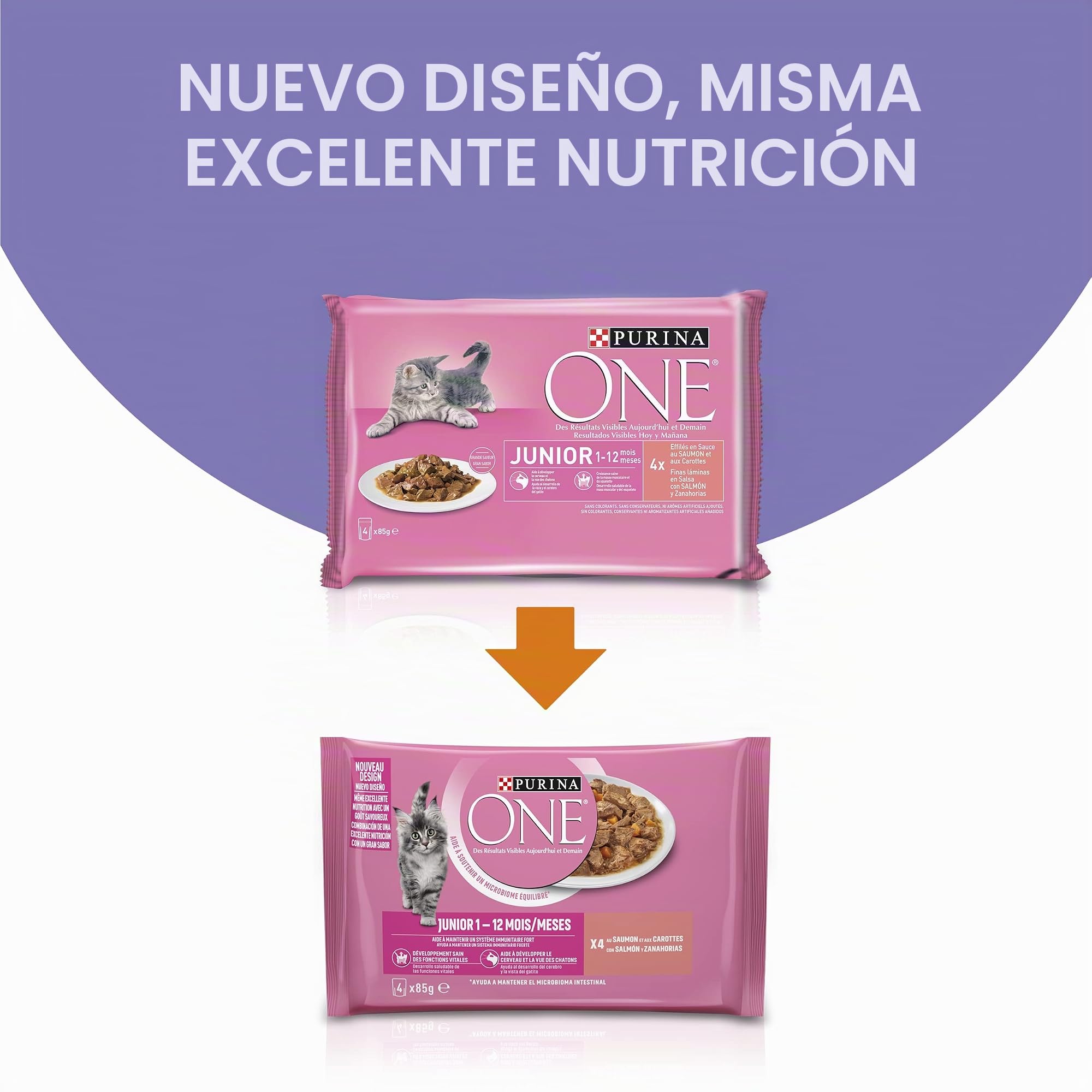 Purina ONE comida húmeda gato Junior Salmón 48x85 g