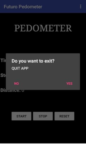 Futuro Pedometer Lite